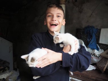 Beyaz bir kedi yavrusu, neşeli bir şekilde bir çocuğun elleriyle etkileşime girer ve neşeli davranışlar sergiler. İçerideki sıcak ortam, kahkaha ve eğlenceyle dolu bu hoş anın sıcaklığını arttırıyor. İki kedi..