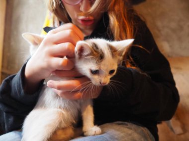 A white kitten joyfully interacts with a child's hands, showcasing playful behavior. The cozy indoor environment enhances the warmth of this delightful moment filled with laughter and fun. Two cats. clipart