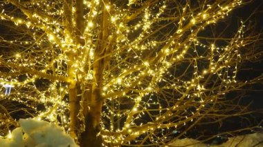 Tatil sezonunda evi dekore etmek için kış çelenkleri mükemmeldir. Yeşillik ve ışıklarla Noel dekorunu geliştirmek için çeşitli teknikler ve malzemeler. Noel için sokak dekorasyonu.