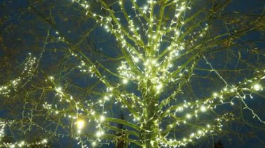 Tatil sezonunda evi dekore etmek için kış çelenkleri mükemmeldir. Yeşillik ve ışıklarla Noel dekorunu geliştirmek için çeşitli teknikler ve malzemeler. Noel için sokak dekorasyonu.