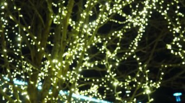 Tatil sezonunda evi dekore etmek için kış çelenkleri mükemmeldir. Yeşillik ve ışıklarla Noel dekorunu geliştirmek için çeşitli teknikler ve malzemeler. Noel için sokak dekorasyonu.