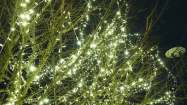 Tatil sezonunda evi dekore etmek için kış çelenkleri mükemmeldir. Yeşillik ve ışıklarla Noel dekorunu geliştirmek için çeşitli teknikler ve malzemeler. Noel için sokak dekorasyonu.