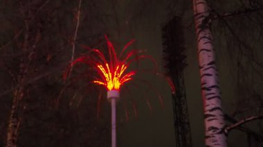 Şenlikli dekoruna cazibe katan hoş kış çelenkleri ve Noel süslemeleri keşfet. Sıcak alanları genişlet ve tatil sezonunda büyülü bir atmosfer yarat. Yüksek kaliteli görüntüler.