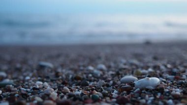 Dalgalar günbatımında okyanusta yavaşça kayalık kıyılarda tur atar. Mavi güneş ışığı dalgaları yansıtarak kıyıya vurur ve gün batımında deniz kenarında sakin bir atmosfer yaratır. Çakıl taşlarına ve taşlara odaklan..