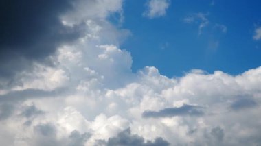 Tüylü beyaz bir bulutun çarpıcı görüntüsü canlı mavi bir gökyüzüne karşı zarafetle süzülür. Güneş ışığı, güzel bir öğleden sonra sakin bir atmosfer yaratarak dış hatlarını güçlendirir. Gerçek zamanlı, ağır çekim.