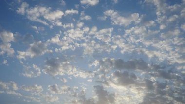 Altocumulus high cumulus ile gerçek zamanlı video üst üste yığılmış bulut stratosumuliform. Küresel kütleler ya da yamalar halinde yuvarlanıyorlar. Cumuliform stratocumuliform bulutları altocumulus konveksiyon anlamına gelir. Mavi akşam gökyüzü.