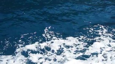 Kibar dalgalar derin mavi denizde dans ederken Karadağ 'ın çarpıcı Adriyatik kıyı şeridini keşfetti. Bu Akdeniz cennetinin dinlendirici güzelliğini, rahatlatıcı bir seyahat macerasında tecrübe edin. Yavaş çekim.