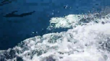 Dalgalar tekneye çarptığında adrenalini hisset. Havaya deniz köpüğü sıçratıyor. Karadağ 'ın çarpıcı manzarasında gezinirken muhteşem Adriyatik sularını keşfetmek.