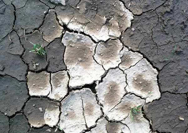 Getrocknete Rissige Erde Bodenbeschaffenheit Mosaik Muster Der Sonnigen Getrockneten Erde — Stockfoto
