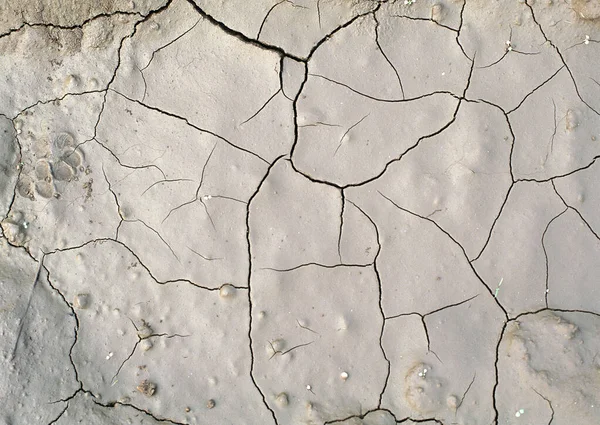 乾燥した地球の土地のテクスチャ 日当たりの良い乾燥地の土のモザイクパターン 装飾デザインのための自然な表面の背景 — ストック写真