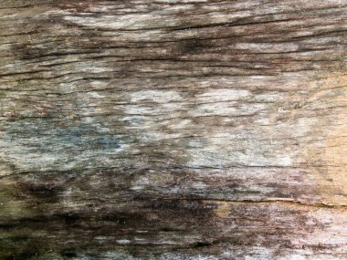 Eski ahşap yüzey dokusu, dekoratif tasarım için arkaplan deseni.