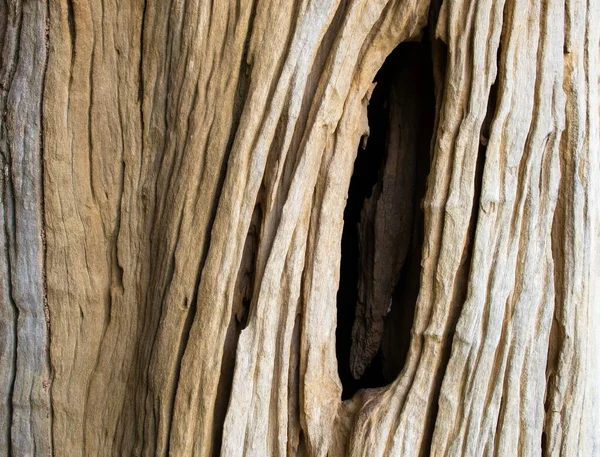 Close Detal Teksturowanej Kory Stary Drewniany Pęknięty Piękny Abstrakcyjny Naturalny — Zdjęcie stockowe