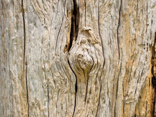 Κοντινό Πλάνο Λεπτομέρεια Υφής Φλοιού Παλιό Ξύλινο Ραγισμένο Όμορφο Αφηρημένο — Φωτογραφία Αρχείου