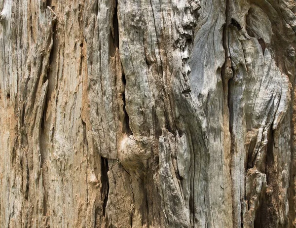 Close Detal Teksturowanej Kory Stary Drewniany Pęknięty Piękny Abstrakcyjny Naturalny — Zdjęcie stockowe