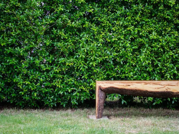 Скамейки Дерева Размещены Парке Задний План Декоративного Дизайна — стоковое фото