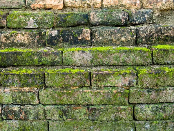 Green Moss Old Brick Wall Background Surface Decorative Design — Stock Photo, Image
