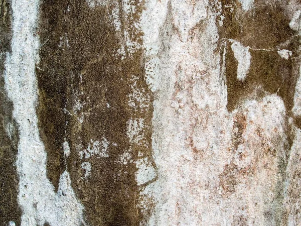 Ancien Mur Béton Avec Des Taches Eau Des Taches Calcaire — Photo