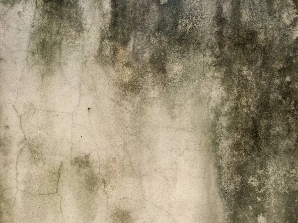 Textura Concreto Antigo Parede Branca Com Manchas Água Mancha Superfície — Fotografia de Stock