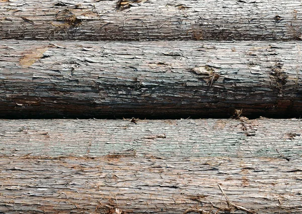 オークの切り株 丸太の薪 丸太の列 装飾デザインのための自然なテクスチャの背景 — ストック写真