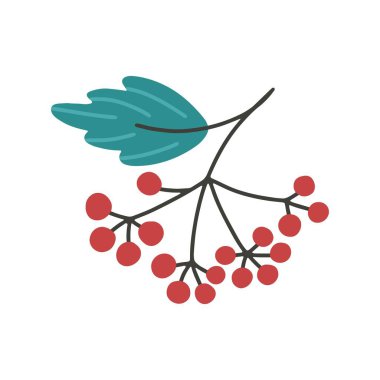 Guelder gülü. Basit bir el çizimi tarzında bir çileğin vektör çizimi. Beyaz arkaplanda izole et