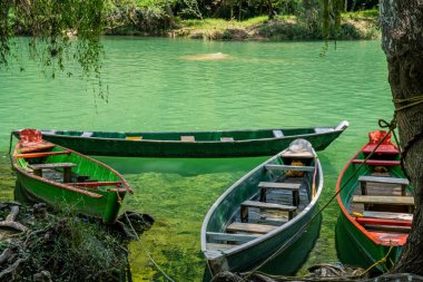 San Luis Potosi Meksika 'daki Mikro Şelalesi' nde yeşil ağaçları ve temiz ve şeffaf suları olan güzel tekneler..