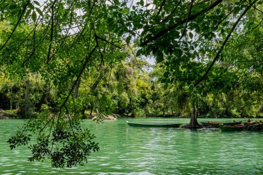 San Luis Potosi Meksika 'da yeşil panorama ve temiz suyla güzel micos şelaleleri.