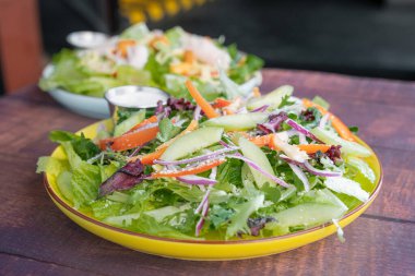 Delicious and fresh Greek style salad with tomatoes, onions and green apples