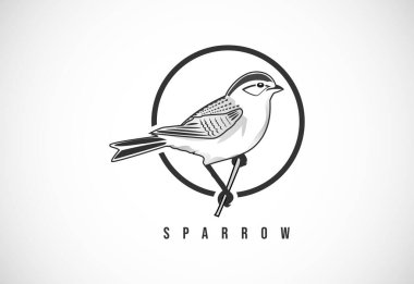 Çemberde bir serçe. Sparrow logo tasarımı şablon vektör çizimi