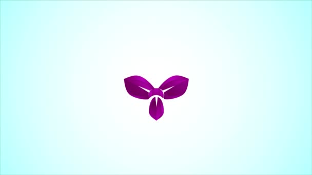 Färgglada Orkidé Blomma Logotyp Design Mall Video Animation — Stockvideo