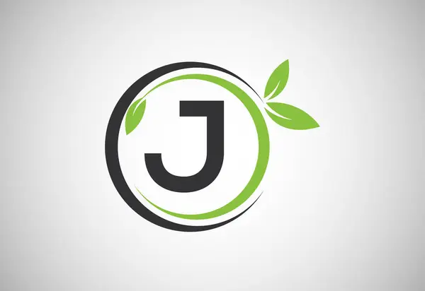 Alfabeto Inglês Com Folhas Verdes Modelo Vetor Design Logotipo Orgânico —  Vetores de Stock