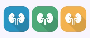 Sağlık ve tıbbi kavramları temsil eden üç böbrek simgesi