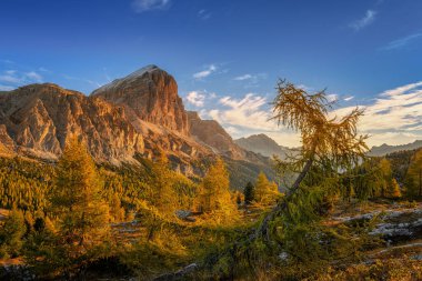 Passo Falzarego yakınlarında batan güneşin ışığında Lagazuoi dağı Dolomite 'ların sarı tarlakuşuyla sonbahar renkleri
