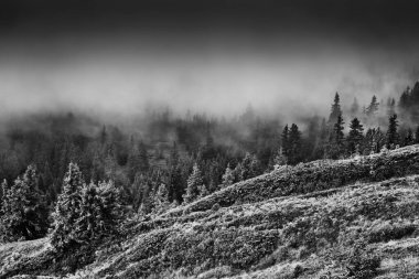 Grindelwald 'dan Eiger Jungfrau Massif' in sonbahardaki görüntüsü
