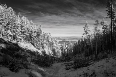 Slovakya 'daki High Tatras' ın altındaki Baba Dağı 'ndan Svit kasabasının manzarası