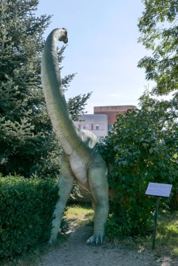 Eski Romanya 'nın Sibiu kentindeki antik sürüngen ve hayvan heykelleri