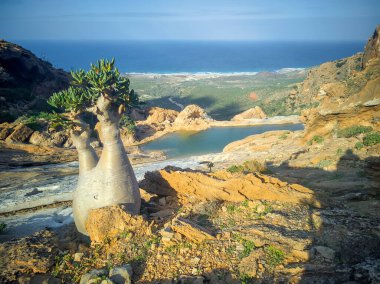 Gün batımında Homhill platosunda küçük bir göl.