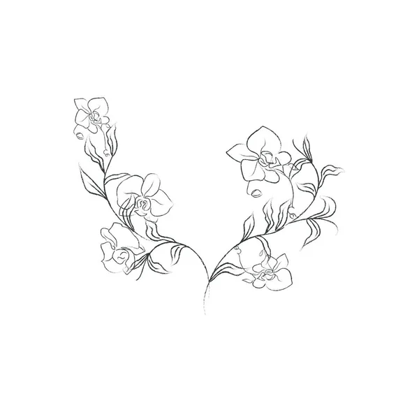 ハーブや花 ディバイダー テキストフレームとリース ベクトルイラスト ヴィンテージ花 花のクリップ 葉のクリップ 結婚式の招待状 女性のイラスト 結婚式の花束 — ストックベクタ