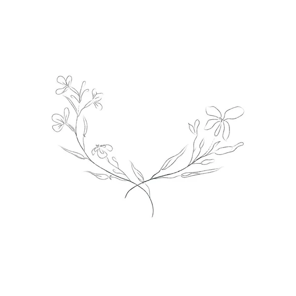 Herbal Dan Bunga Pemisah Frame Teks Dan Wreaths Vector Illustration - Stok Vektor