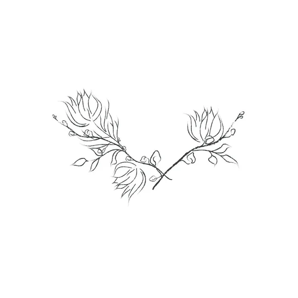 Örter Och Blommor Dividers Textramar Och Kransar Vektorillustration Vintage Blommor — Stock vektor
