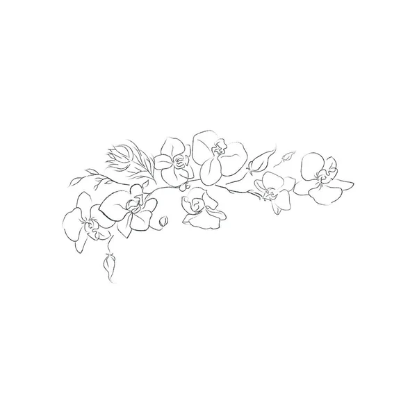 ハーブや花 ディバイダー テキストフレームとリース ベクトルイラスト ヴィンテージ花 花のクリップ 葉のクリップ 結婚式の招待状 女性のイラスト 結婚式の花束 — ストックベクタ