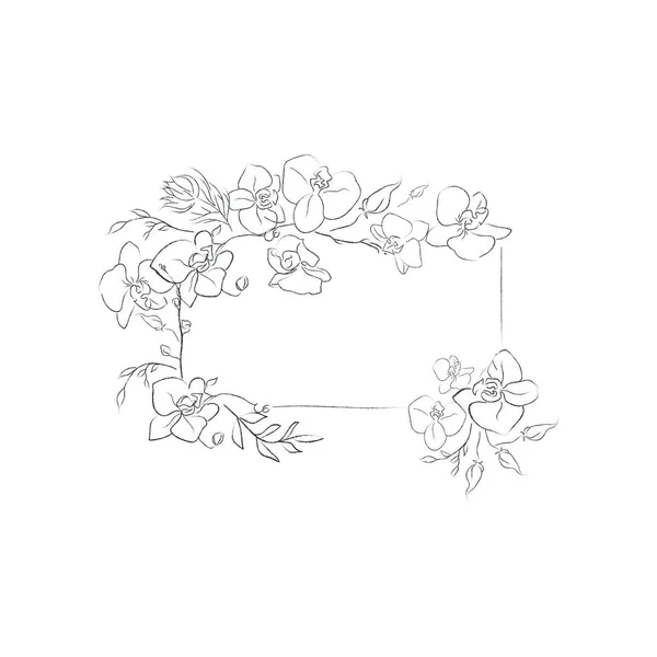 Byliny Květinářství Děliče Textové Rámy Věnce Vektorová Ilustrace Ročník Květiny — Stockový vektor