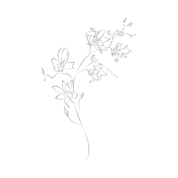 Herbes Fleurs Diviseurs Cadres Textuels Couronnes Parfait Pour Les Cartes — Image vectorielle