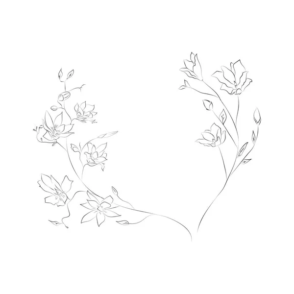 Ervas Flores Divisórias Molduras Texto Grinaldas Perfeito Para Cartões Logotipo —  Vetores de Stock