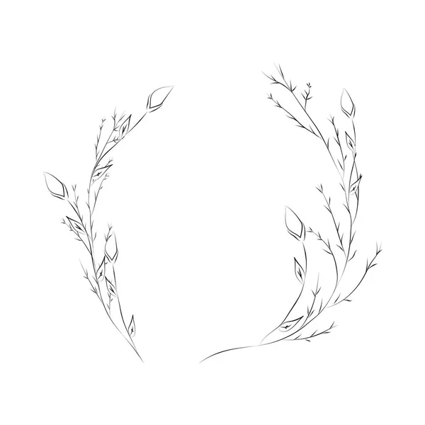 Herbal Dan Bunga Pemisah Frame Teks Dan Wreaths Sempurna Untuk - Stok Vektor