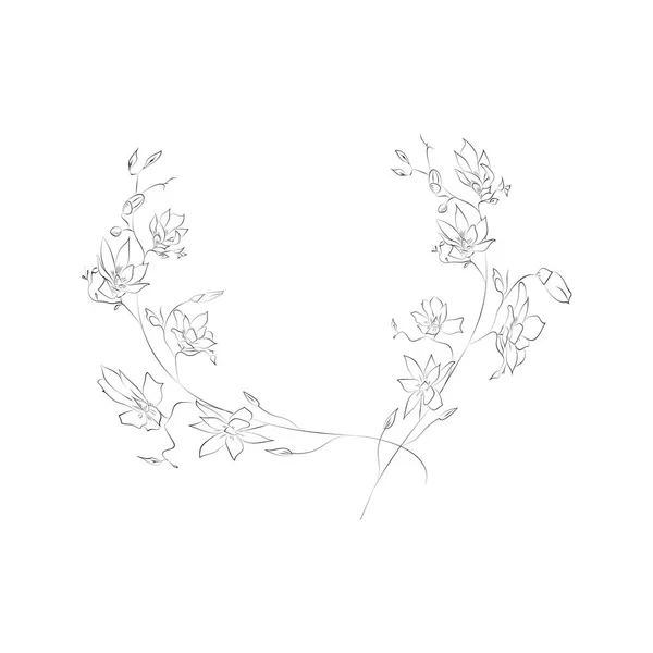 Травы Цветы Разделители Текстовые Рамки Венки Перфект Открыток Логотипа Брендинга — стоковый вектор