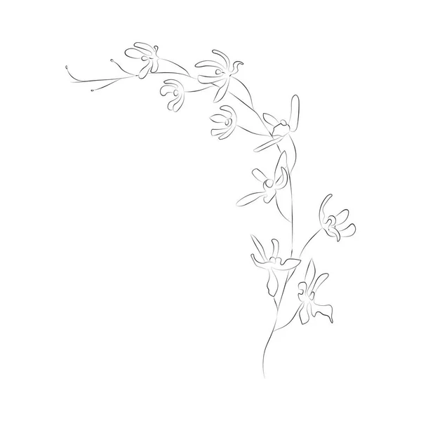 Трави Квіти Розділювачі Текстові Рамки Вінки Ідеально Підходить Листівок Логотипів — стоковий вектор
