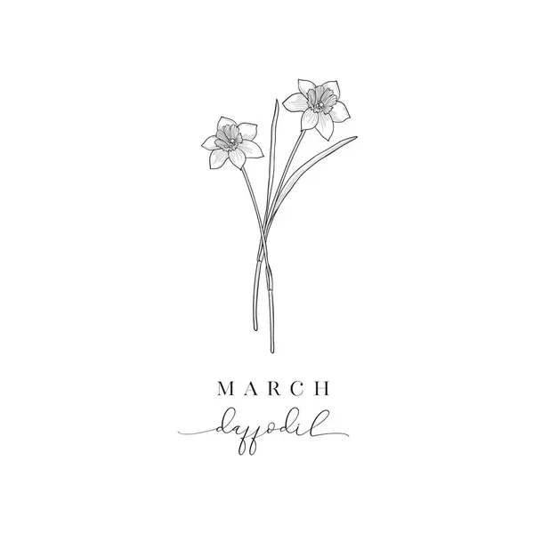 Floral Decorative Design Element Daffodil March Birth Flower Birth Month Vector Graphics