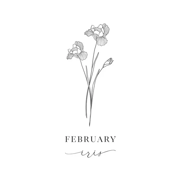 Floral Διακοσμητικό Στοιχείο Σχεδιασμού Iris February Birth Flower Birth Month Εικονογράφηση Αρχείου