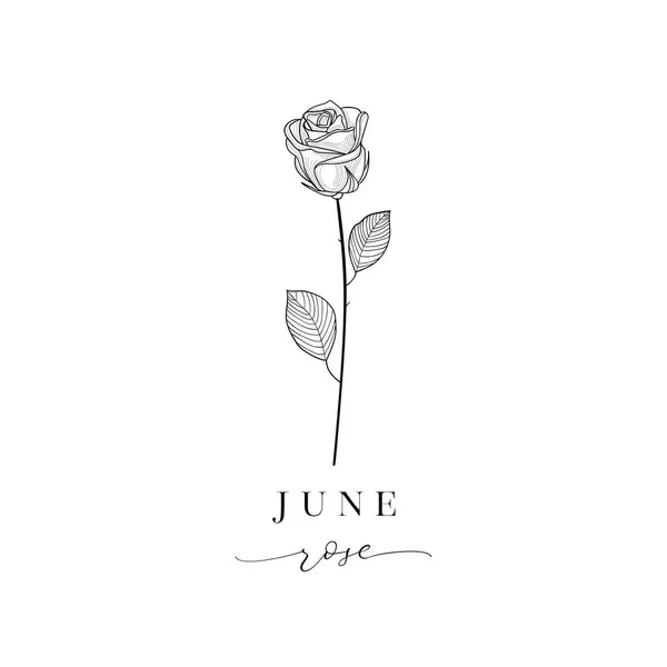 Floral Διακοσμητικό Στοιχείο Σχεδιασμού Τριαντάφυλλο Ιούνιος Λουλούδι Γέννησης Μήνας Γέννησης Royalty Free Εικονογραφήσεις Αρχείου