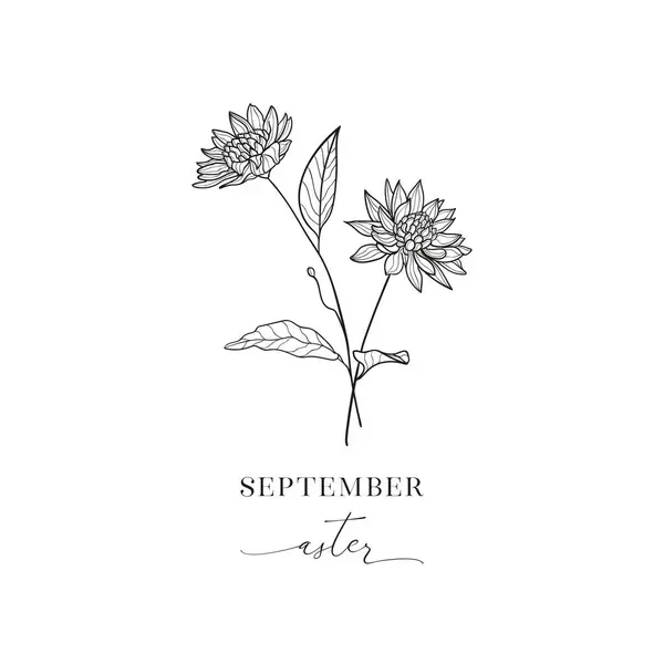 Floral Διακοσμητικό Στοιχείο Σχεδιασμού Άστερ Σεπτέμβριος Λουλούδι Γέννησης Μήνας Γέννησης Διανυσματικά Γραφικά